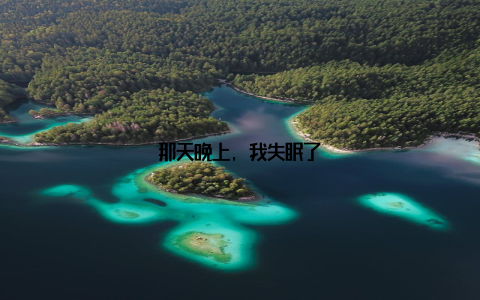 那天晚上, 我失眠了