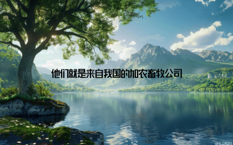 他们就是来自我国的加农畜牧公司