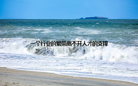 一个行业的繁荣离不开人才的支撑