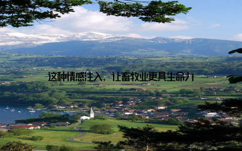 这种情感注入, 让畜牧业更具生命力