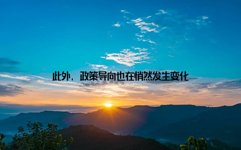 此外, 政策导向也在悄然发生变化