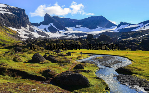 从小, 我就对农场的一切充满了好奇