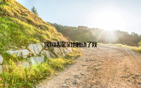 这句话深深地触动了我