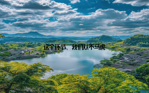 这个环节, 我们从不马虎