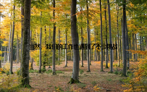 当然, 我们的工作也遇到了不少挑战