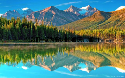 让我们一起为畜牧业的明天, 加油!