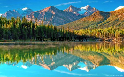 再次, 我们重视人才培养