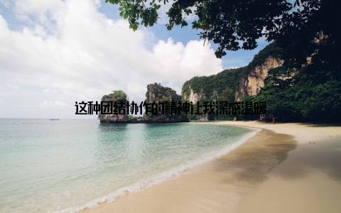 这种团结协作的精神让我深感温暖