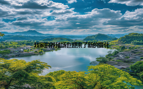 我家的养殖场也迎来了新的变化