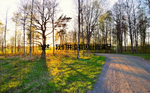 当然, 我们并没有因此而满足