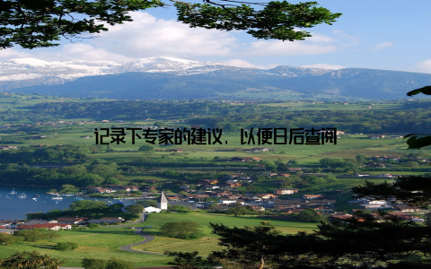 记录下专家的建议, 以便日后查阅