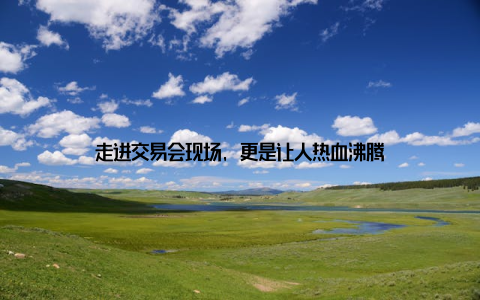 走进交易会现场, 更是让人热血沸腾