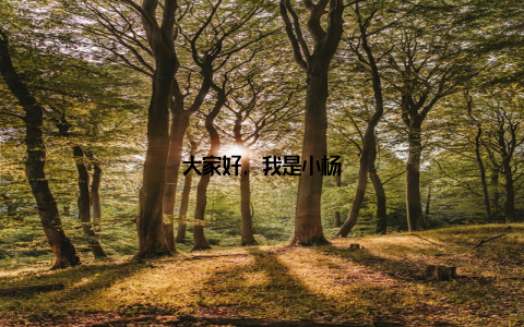 大家好, 我是小杨