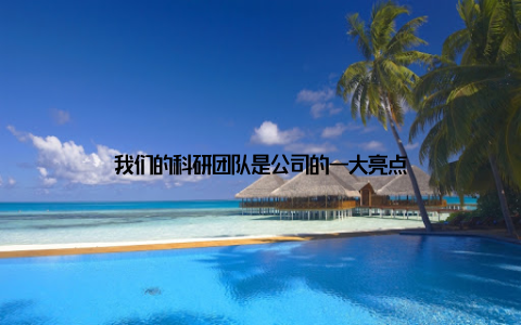 我们的科研团队是公司的一大亮点