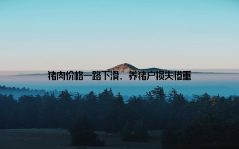 猪肉价格一路下滑, 养猪户损失惨重