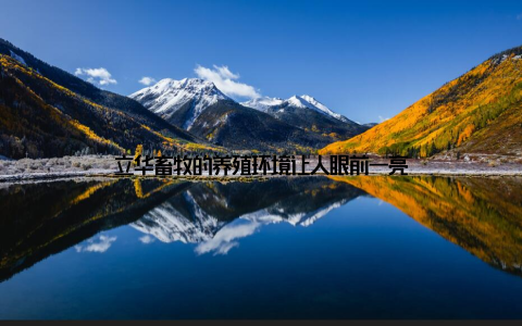 立华畜牧的养殖环境让人眼前一亮