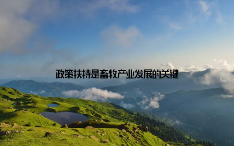 政策扶持是畜牧产业发展的关键