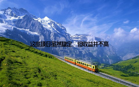 这些项目虽然稳定, 但收益并不高