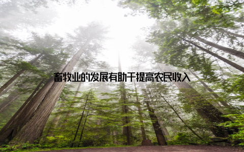 畜牧业的发展有助于提高农民收入