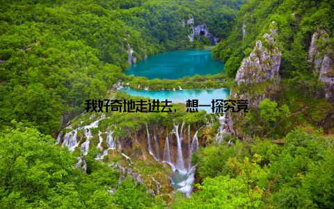 我好奇地走进去, 想一探究竟