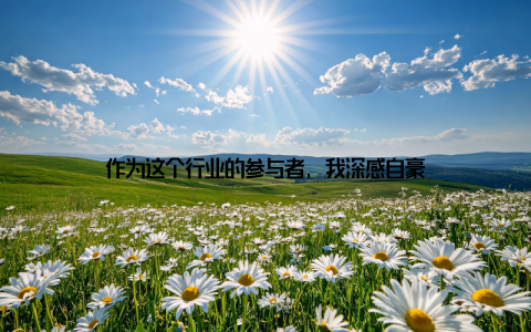 作为这个行业的参与者, 我深感自豪