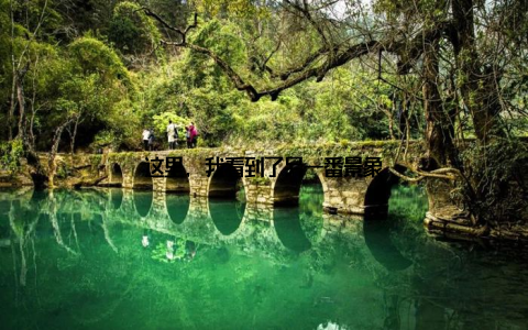 这里, 我看到了另一番景象