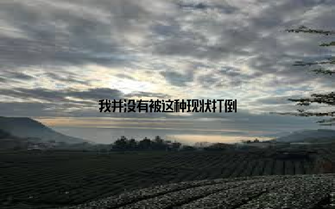 我并没有被这种现状打倒