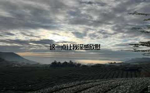 这一点让我深感欣慰