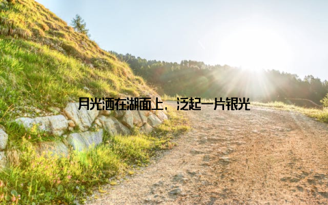 月光洒在湖面上, 泛起一片银光