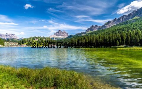 这让我看到了畜牧业发展的新方向