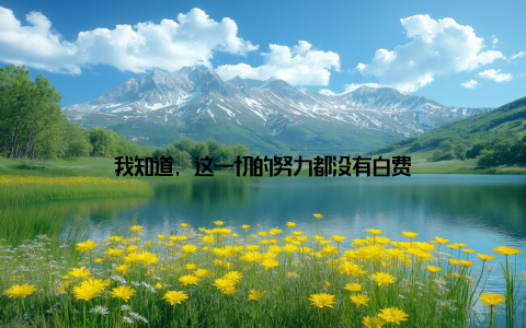 我知道, 这一切的努力都没有白费