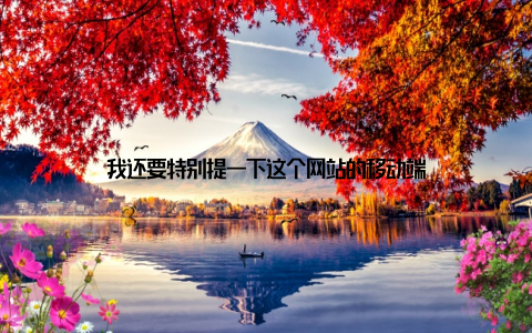 我还要特别提一下这个网站的移动端