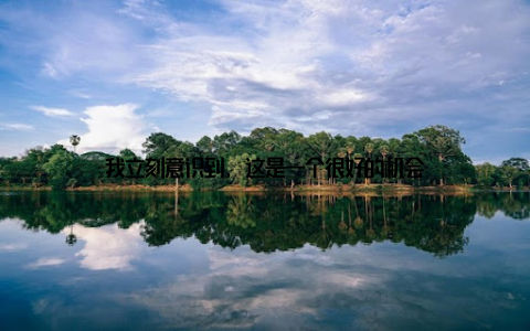 我立刻意识到, 这是一个很好的机会